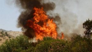 ۱۴۰ هکتار از مراتع و اراضی مُشجر خداآفرین طعمه حریق شد