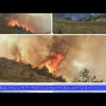 قاراداغدا اورمان یانغینلاری و فارس اجتماعیاتی نین تکرارلانان حکایه سی