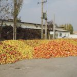 درد کشاورزان آزربایجان – محسن سعادت