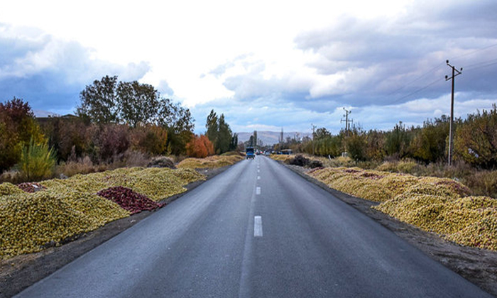 سیب و توسعه کشاورزی – یونس زارعیون