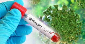 ابتلای دو نفر در اردبیل به ویروس کرونا تائید شد