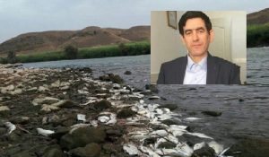 سونامی سرطان گوارشی و مرگ آبزیان آراز ناشی از پساب های صنعتی ارمنستان است