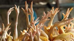 قیمت پای مرغ از خود مرغ گران‌تر شد؟