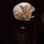 انسانهای اولیه ممکن است برای مبارزه با زمستان به خواب زمستانی رفته باشند