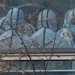 سازمان بهداشت جهانی اعلام کرد: منبع را پیدا کردیم