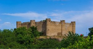 آمئریکا هئیئتی آغدام’داکی شاه‌بولاق قالاسینی زیارت ائتدی