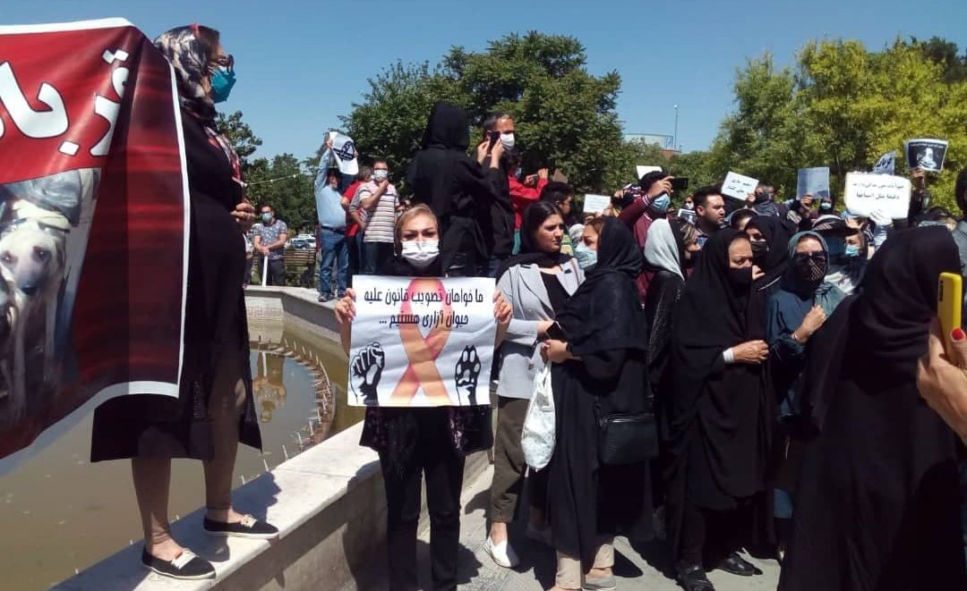 اعتراض شهروندان تبریز به کشتار سگ‌های ولگرد مسئولین را مجبور به پاسخگویی کرد