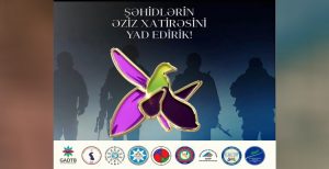 بیانیه شورای همکاری احزاب آزربایجان جنوبی به مناسبت “روز یادبود” جنگ دوم قاراباغ