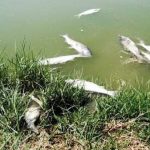 آلودگی رودخانه ارس به مواد سرطان زا