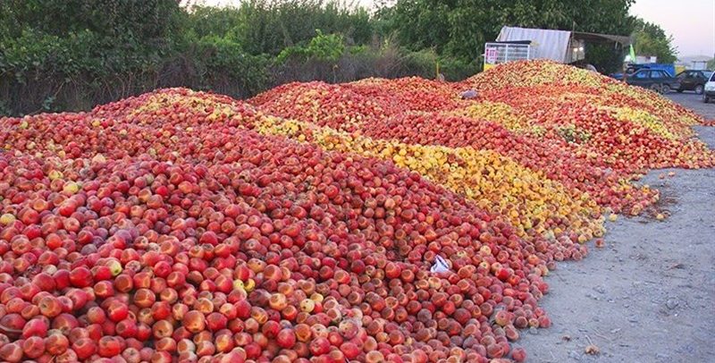 سیب‌های فاسد، آب دریاچۀ اورمیه را خوردند