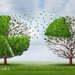 میللی حرکت‌ ایله سوسیال عدالت قاورامی