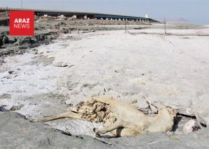 چرایی زخم عمیقی که فاشیسم بر پیکر آذربایجان وارد کرد