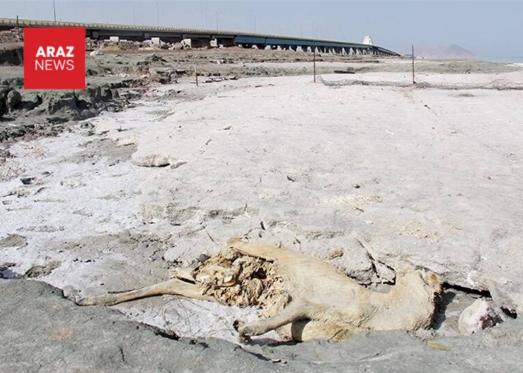 چرایی زخم عمیقی که فاشیسم بر پیکر آذربایجان وارد کرد