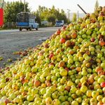 استعمار داخلی در لباس توسعه ملی؛ کشاورزی قربانی سیاست‌های مرکزگرا