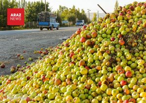 استعمار داخلی در لباس توسعه ملی؛ کشاورزی قربانی سیاست‌های مرکزگرا